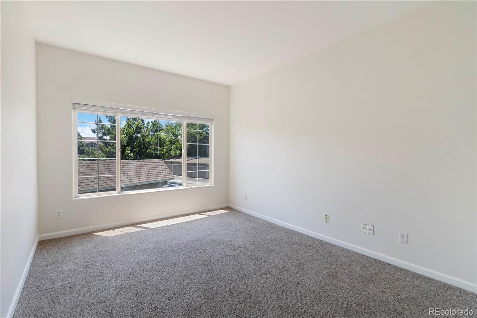 MLS Image #23 for 3825  canyon ranch road,highlands ranch, Colorado