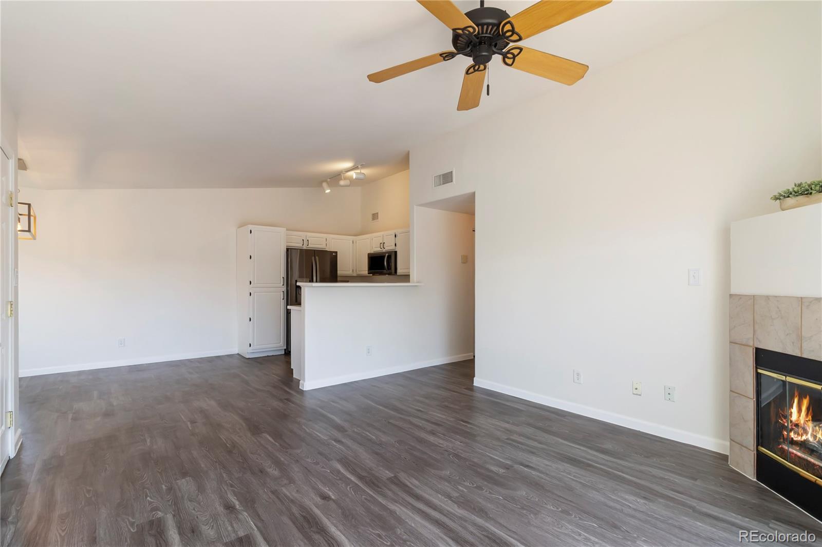 MLS Image #7 for 3825  canyon ranch road,highlands ranch, Colorado