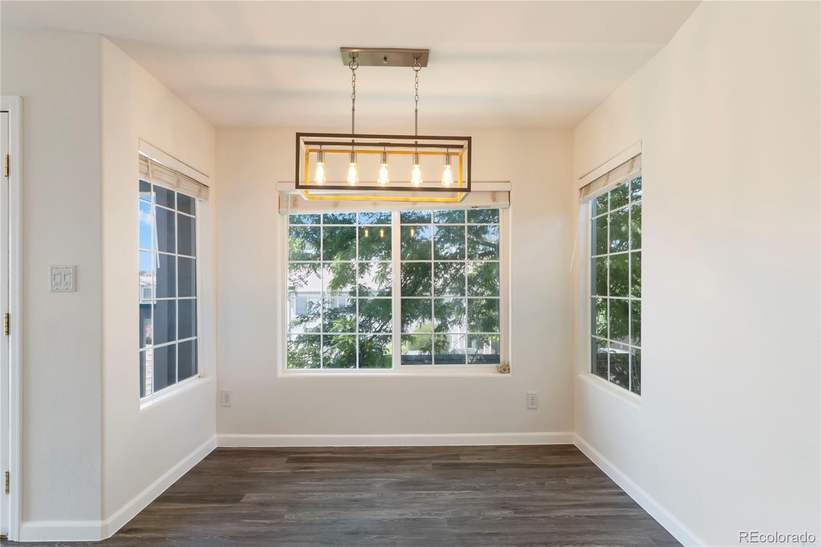 MLS Image #9 for 3825  canyon ranch road,highlands ranch, Colorado