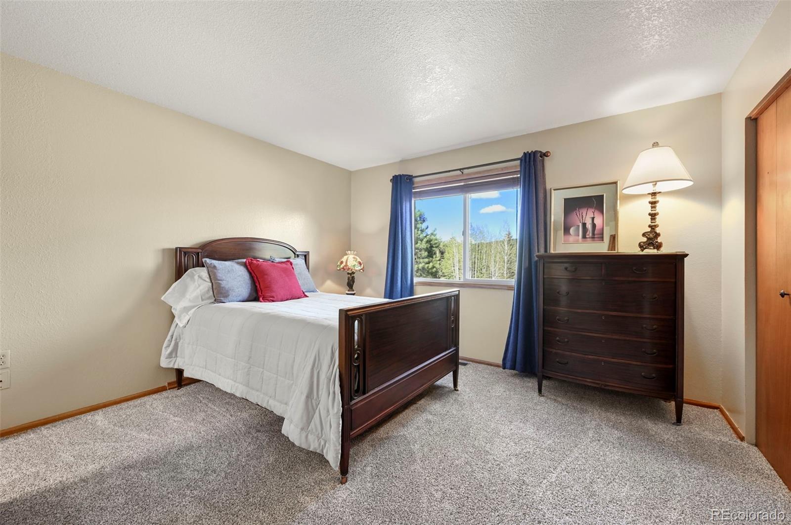 MLS Image #9 for 1300  thomas circle,woodland park, Colorado