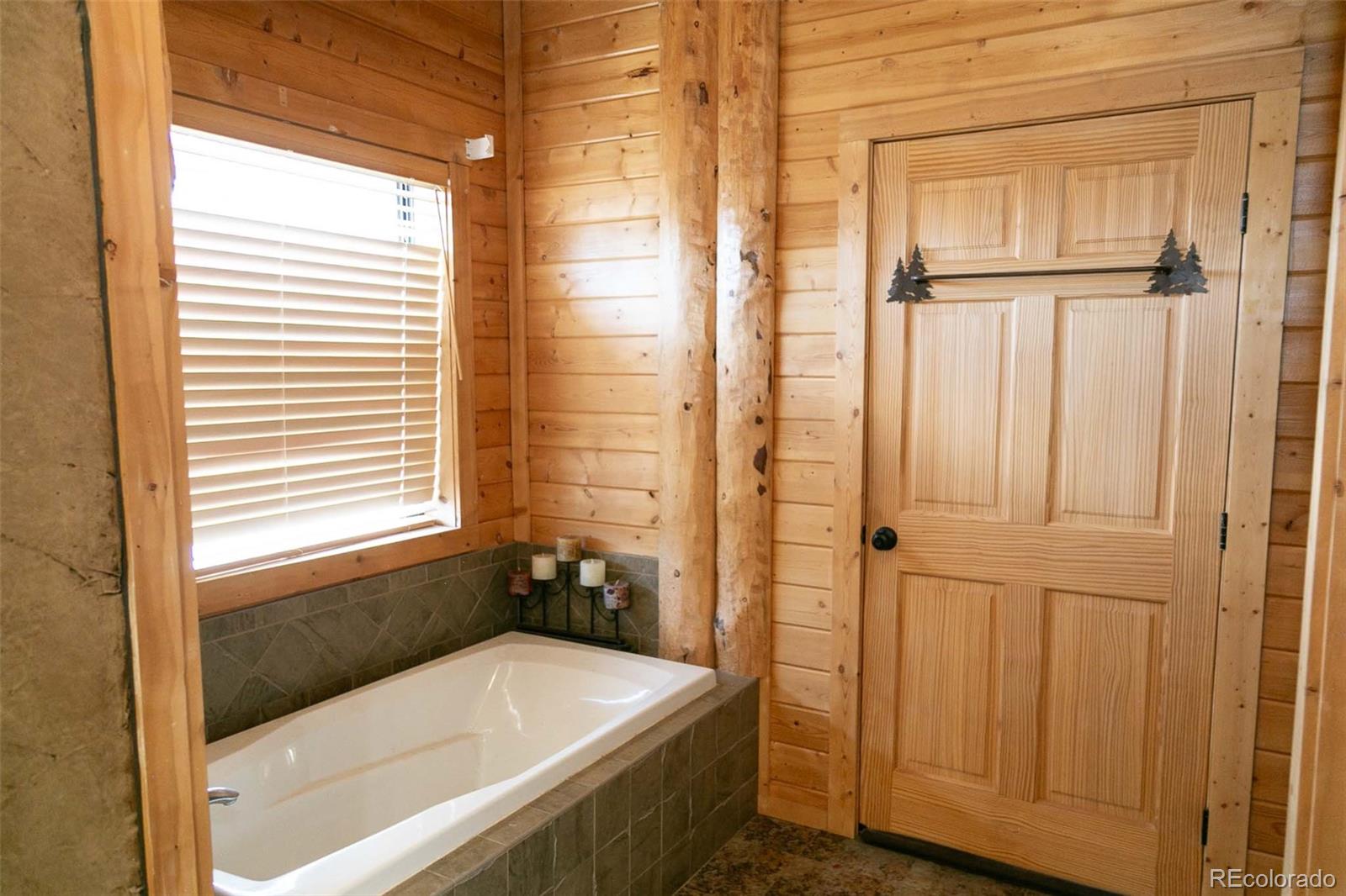 MLS Image #9 for 402  moonlight drive,creede, Colorado
