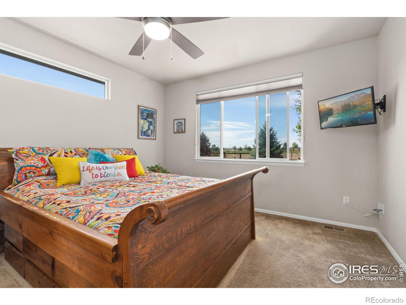 MLS Image #13 for 871  shade tree drive,windsor, Colorado