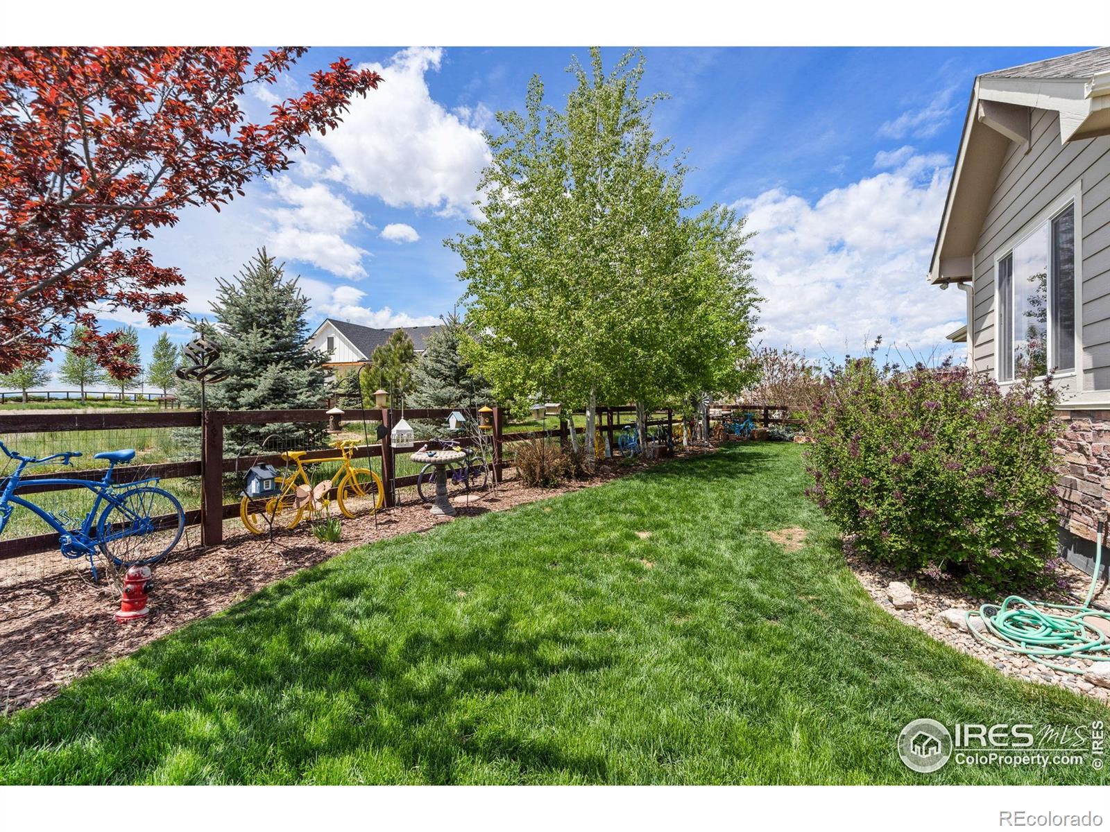 MLS Image #26 for 871  shade tree drive,windsor, Colorado