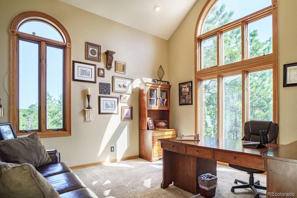 MLS Image #10 for 1120  brenthaven court,monument, Colorado