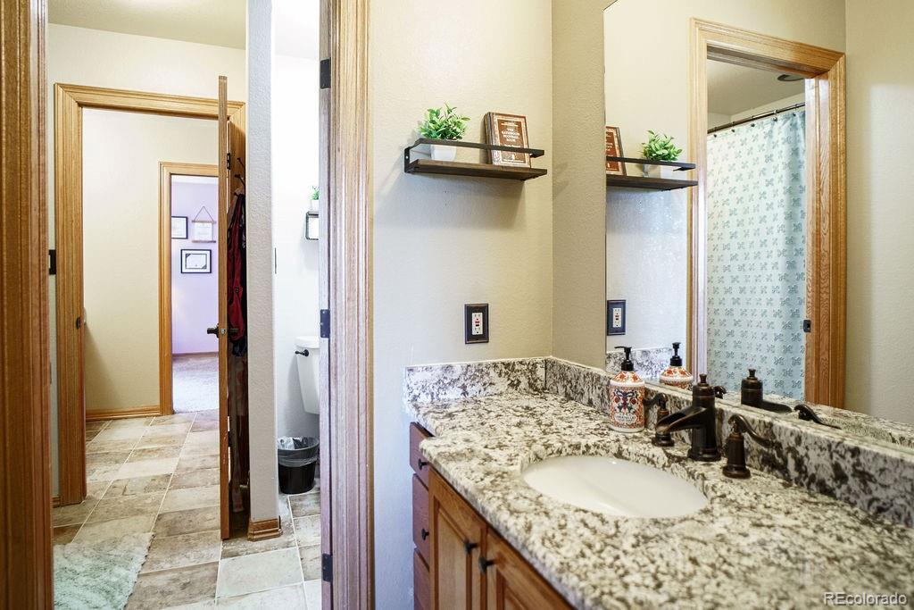 MLS Image #13 for 1120  brenthaven court,monument, Colorado