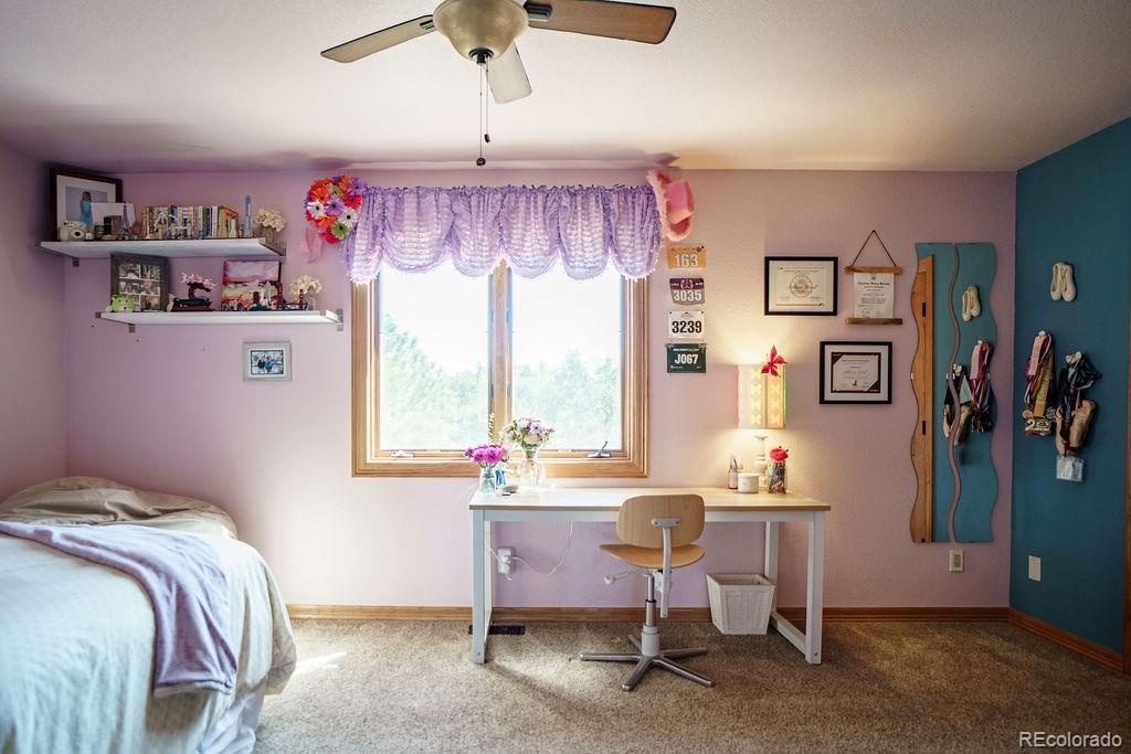 MLS Image #15 for 1120  brenthaven court,monument, Colorado