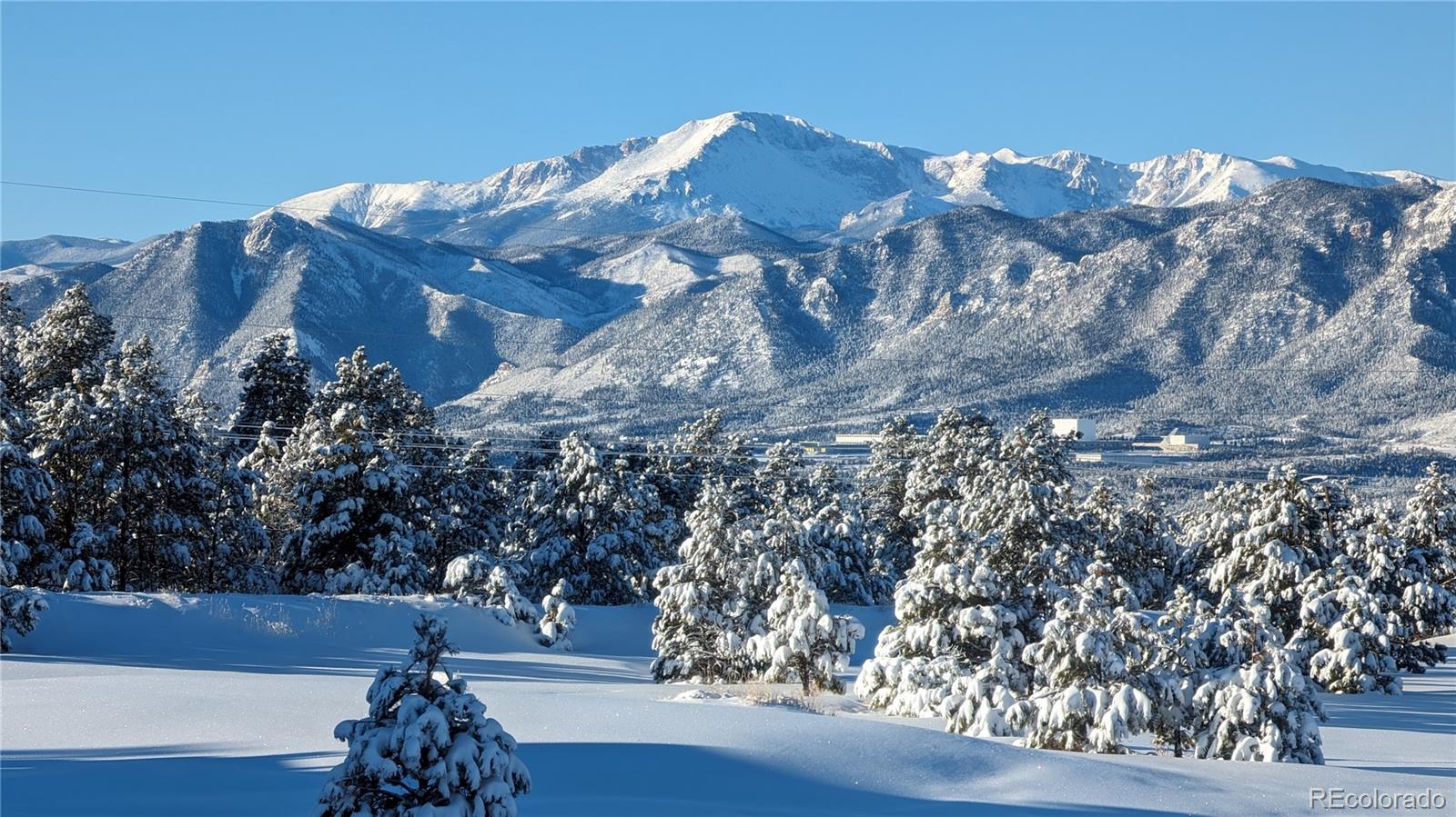 MLS Image #32 for 1120  brenthaven court,monument, Colorado