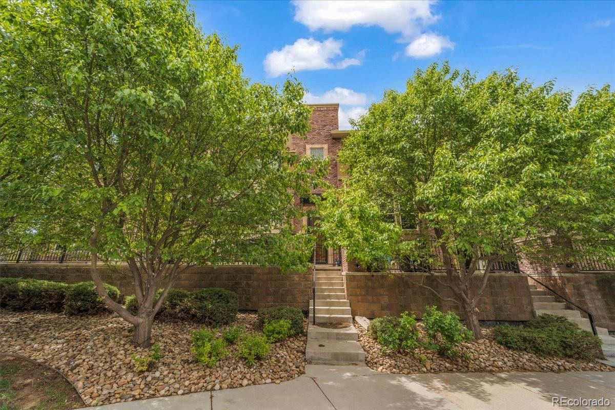 MLS Image #19 for 1000  elmhurst drive b,highlands ranch, Colorado