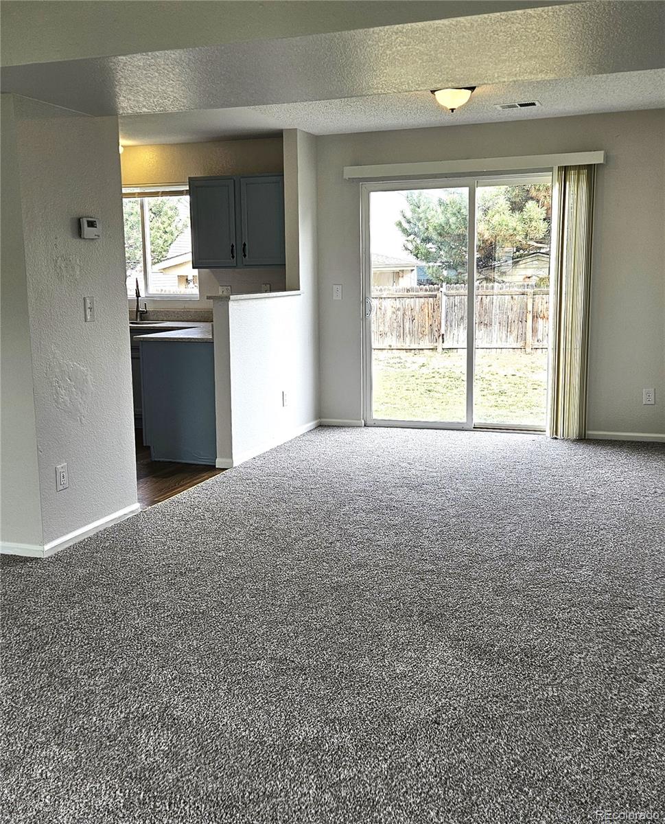 MLS Image #10 for 5151  jasper street,denver, Colorado