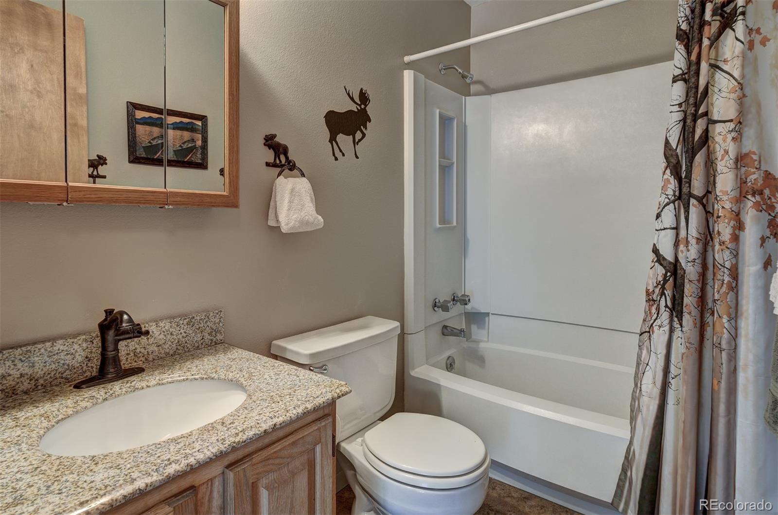 MLS Image #13 for 227  county road 4421 ,grand lake, Colorado