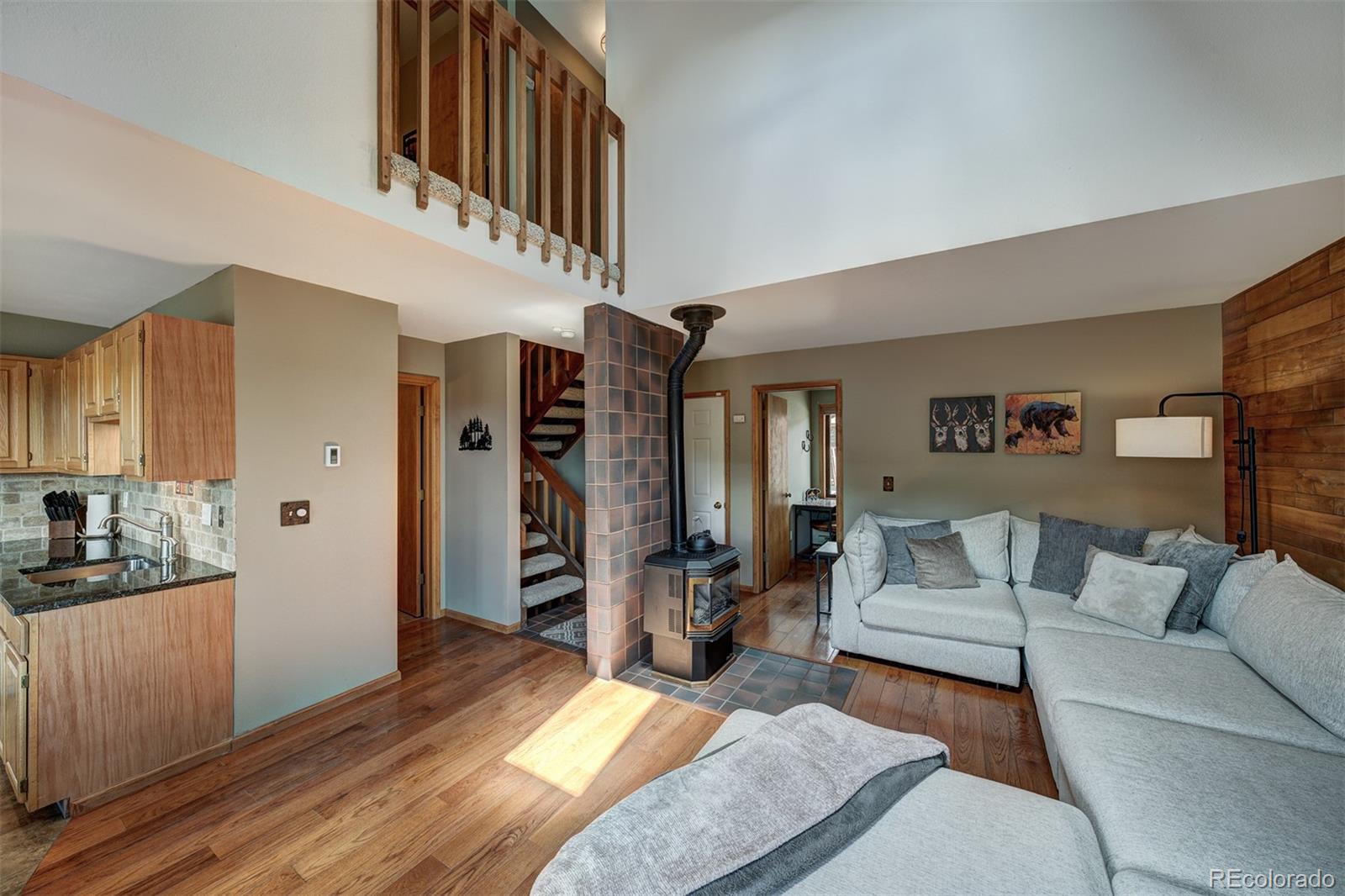 MLS Image #2 for 227  county road 4421 ,grand lake, Colorado
