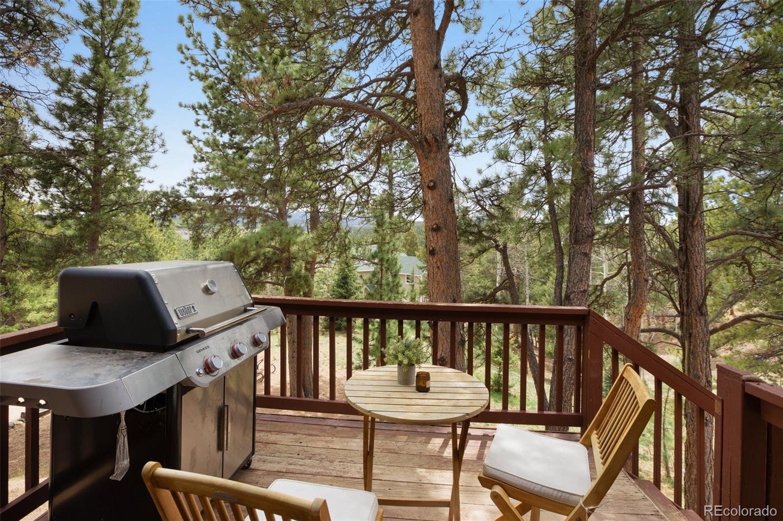 MLS Image #16 for 121  aspen drive,woodland park, Colorado