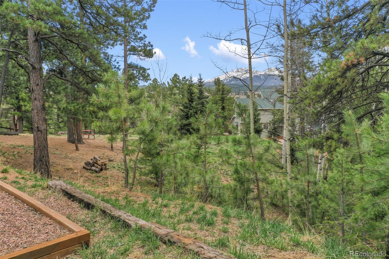 MLS Image #40 for 121  aspen drive,woodland park, Colorado
