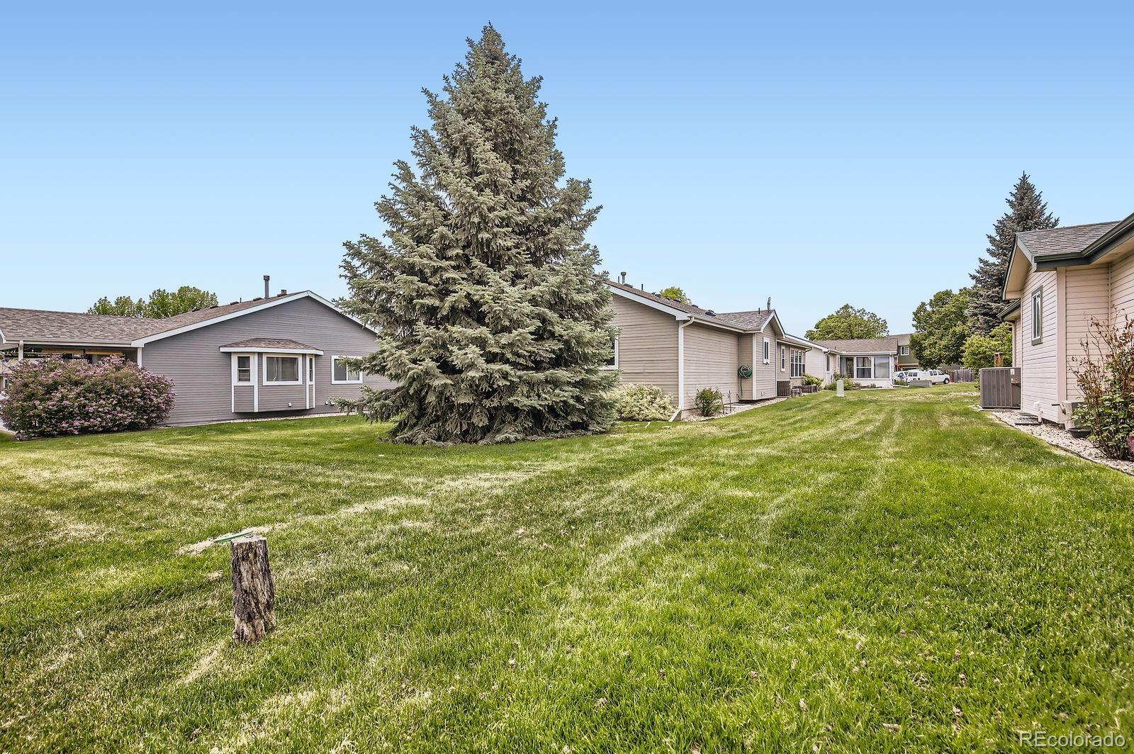 MLS Image #26 for 506  radiant drive,loveland, Colorado
