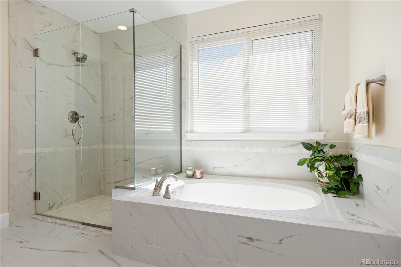 MLS Image #23 for 1774  spring water place,highlands ranch, Colorado