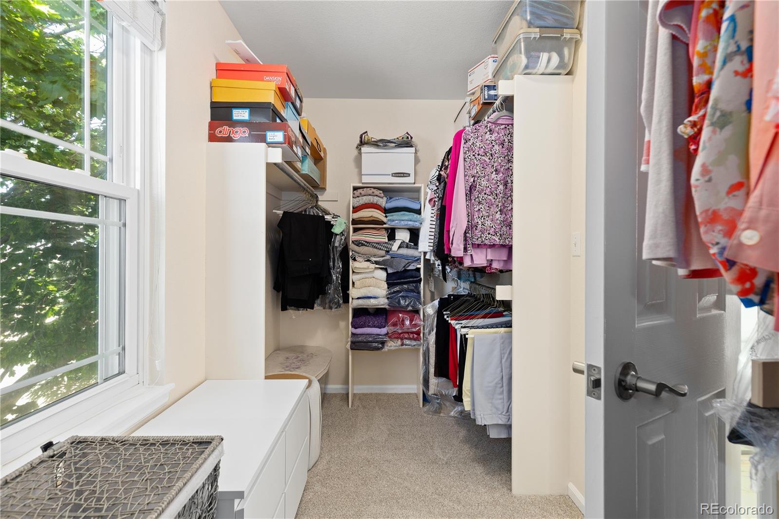 MLS Image #25 for 1774  spring water place,highlands ranch, Colorado
