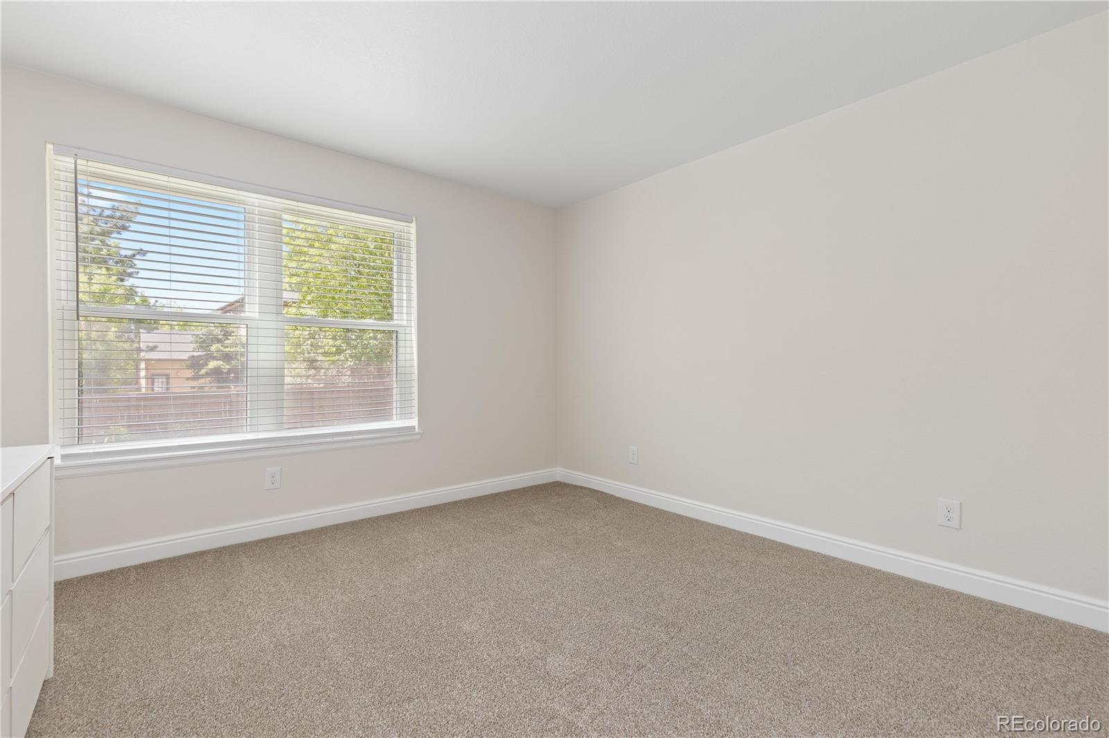 MLS Image #30 for 1774  spring water place,highlands ranch, Colorado