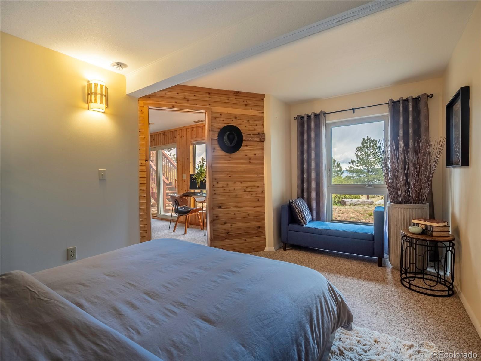 MLS Image #20 for 30455  mountainside drive,buena vista, Colorado