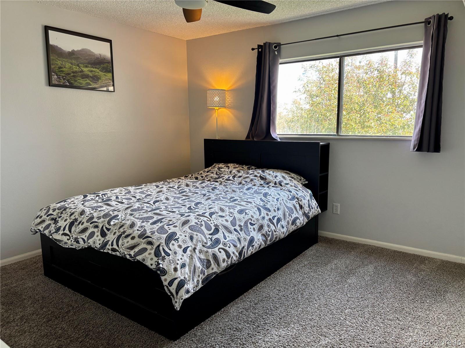MLS Image #13 for 539  wright street,lakewood, Colorado