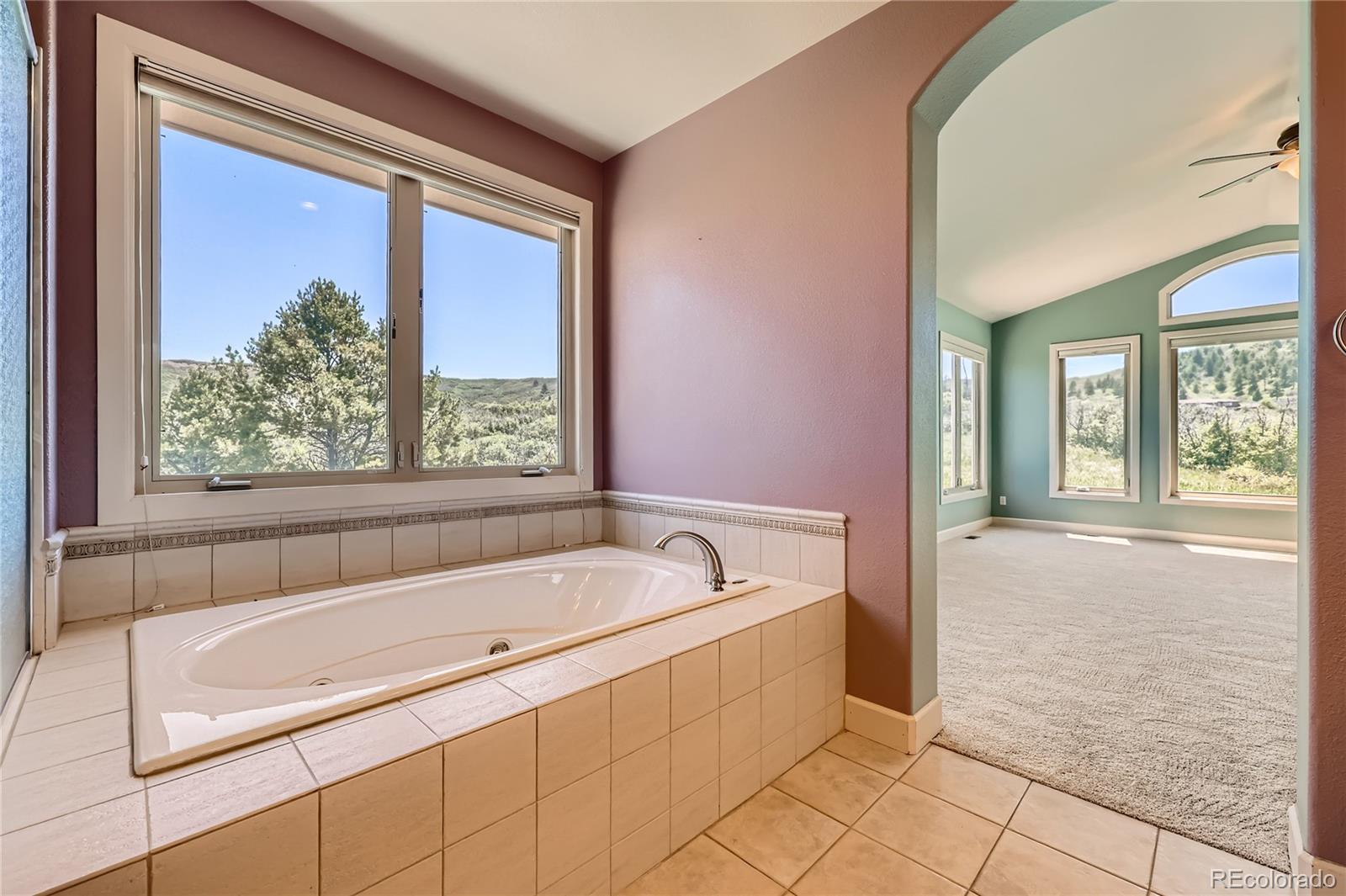 MLS Image #18 for 1272  nightfire circle,castle rock, Colorado