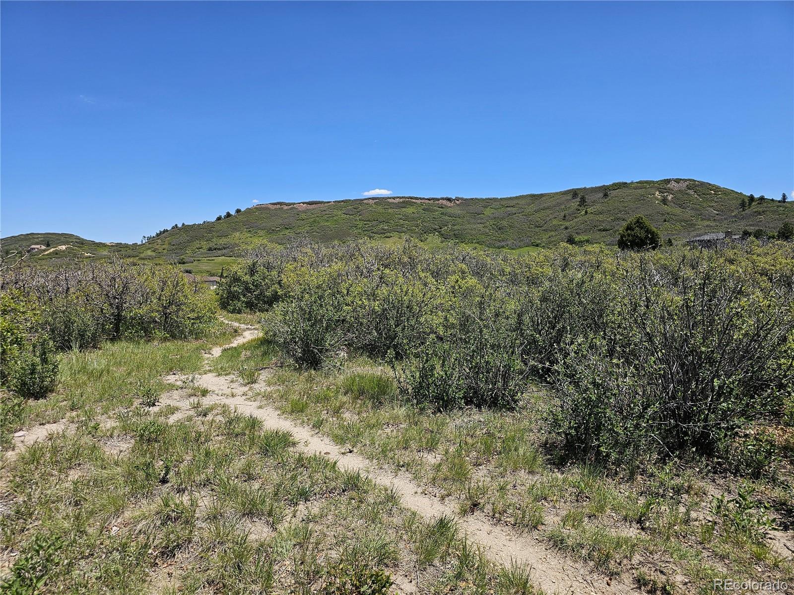 MLS Image #45 for 1272  nightfire circle,castle rock, Colorado