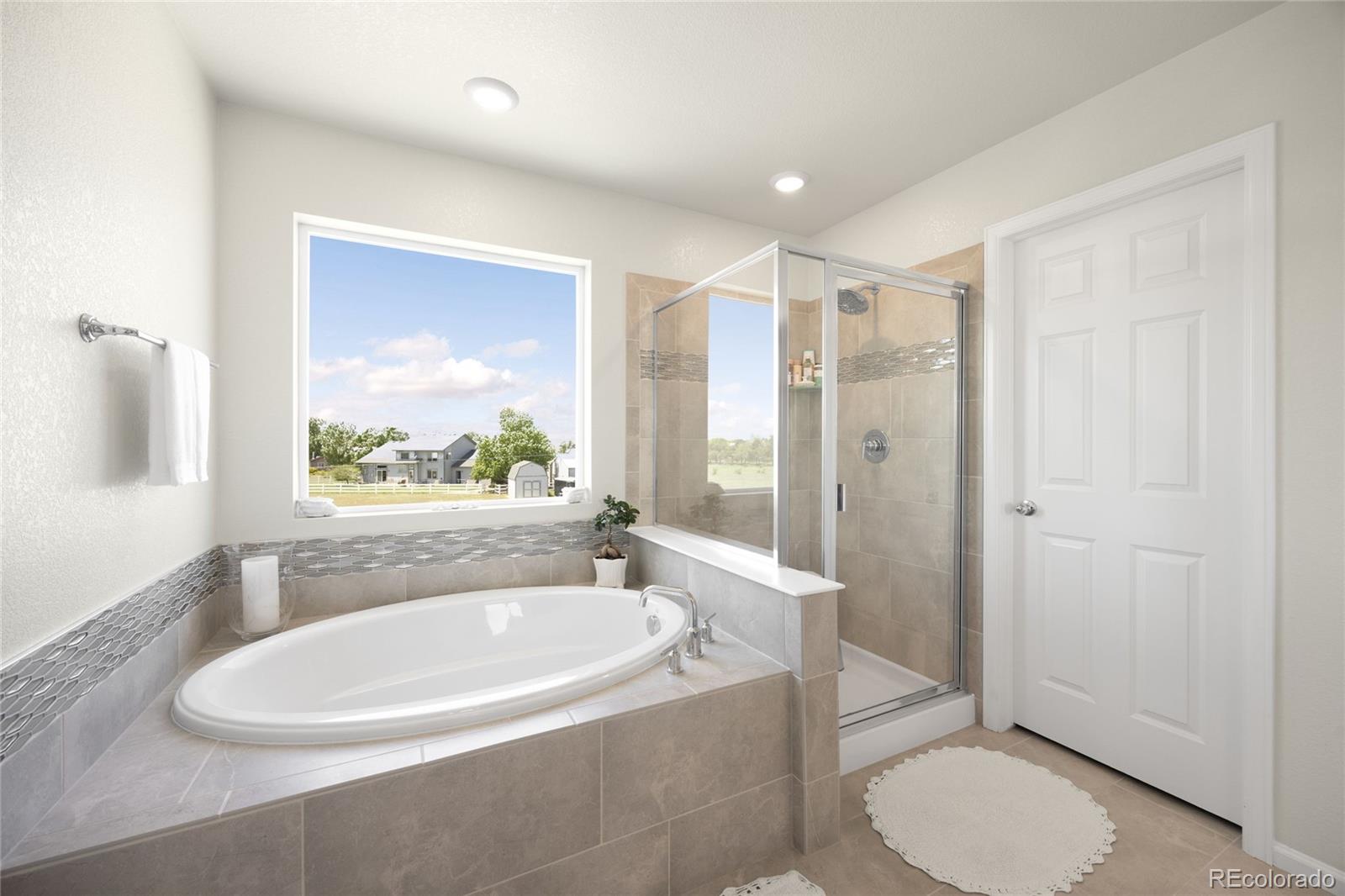 MLS Image #16 for 985  penstemon drive,henderson, Colorado