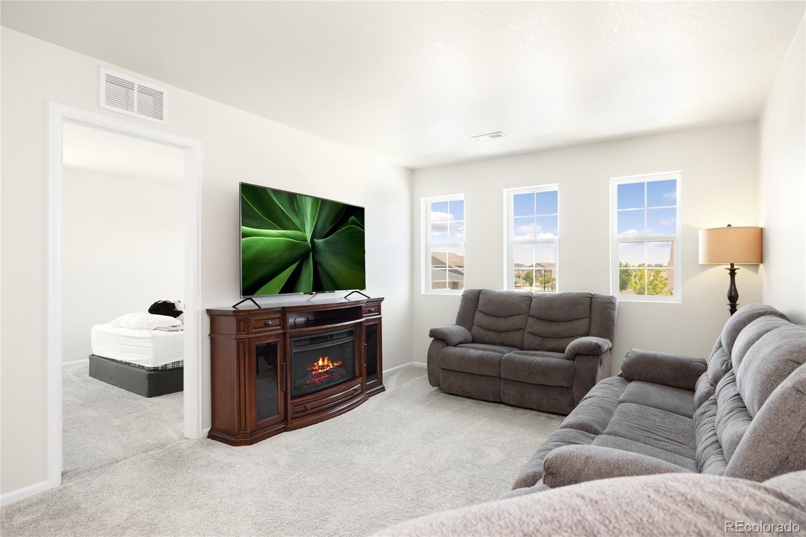 MLS Image #18 for 985  penstemon drive,henderson, Colorado