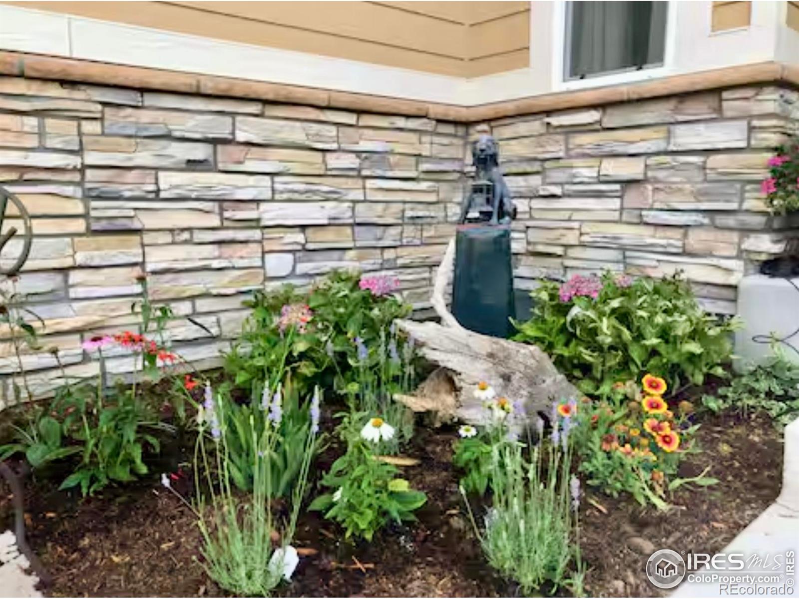MLS Image #28 for 8241  white owl court,windsor, Colorado