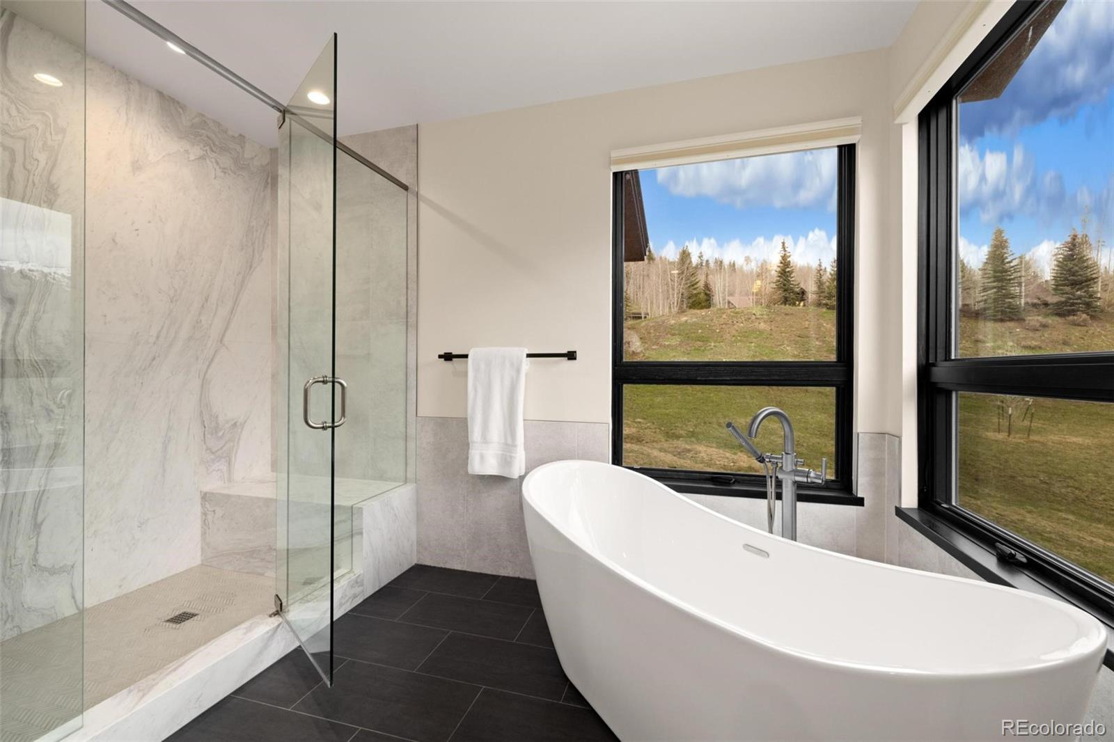 MLS Image #27 for 2800  honors court,silverthorne, Colorado