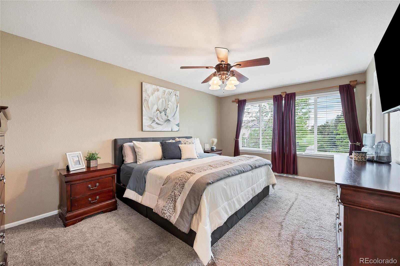 MLS Image #17 for 9272  melborne court,parker, Colorado
