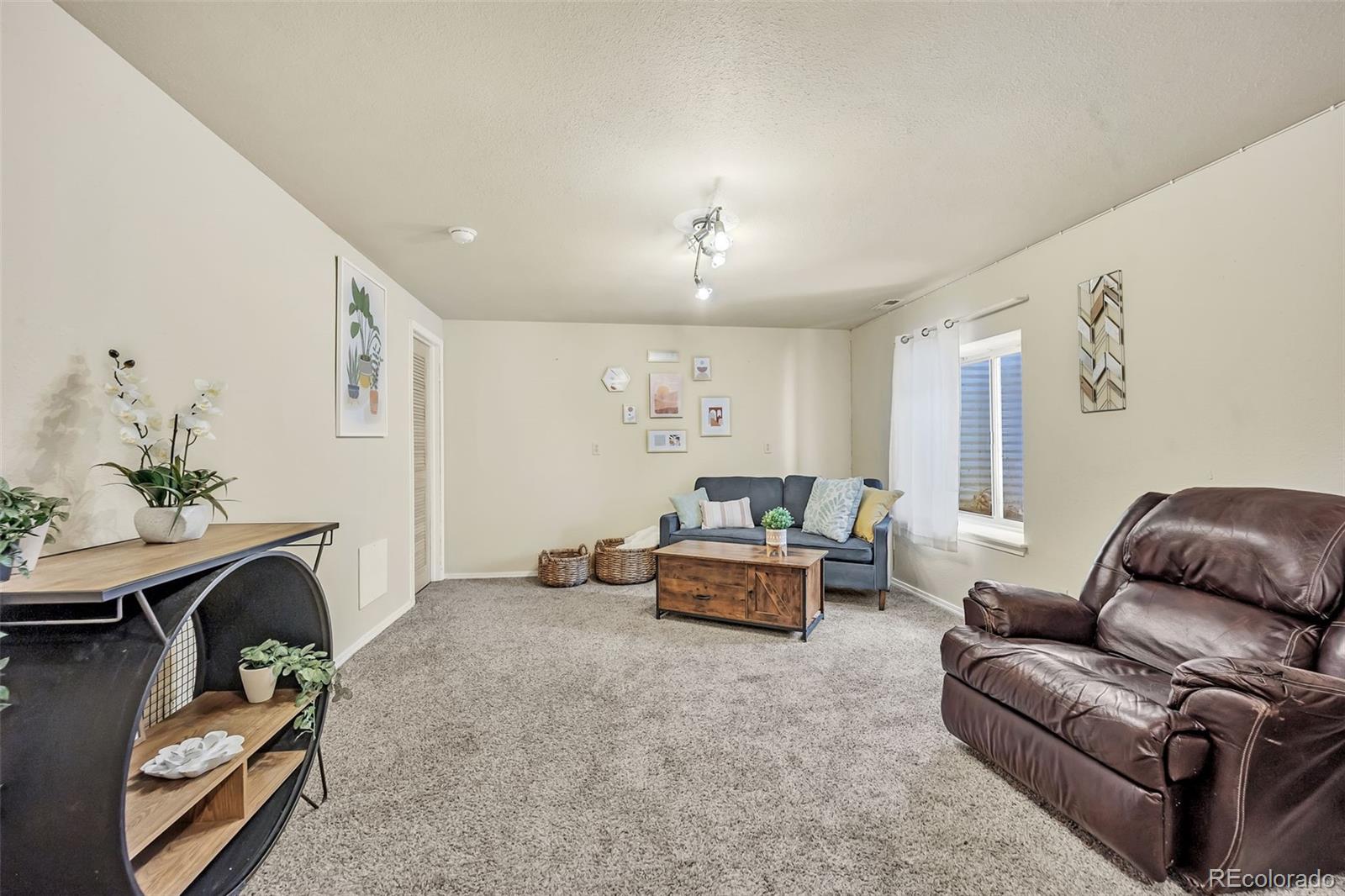 MLS Image #21 for 6645  weeping willow drive,colorado springs, Colorado