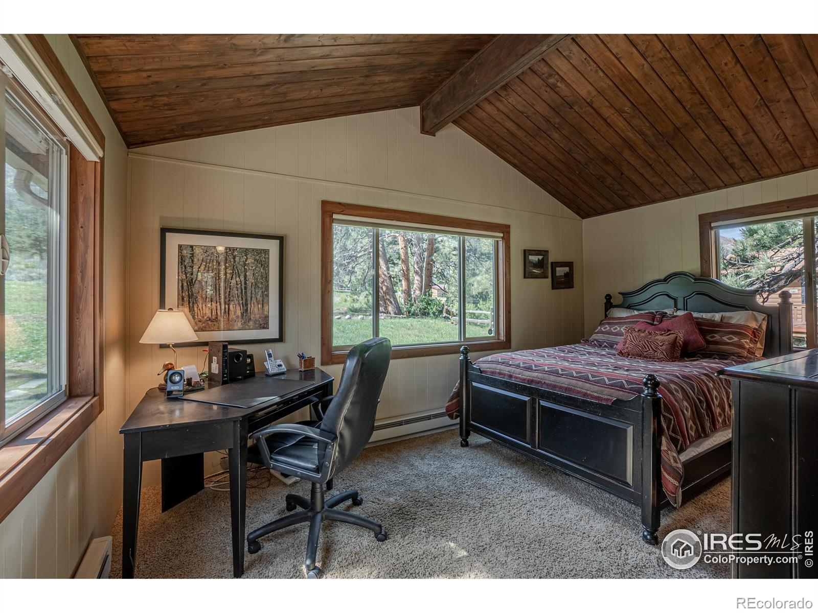 MLS Image #11 for 348  crown point drive,bellvue, Colorado