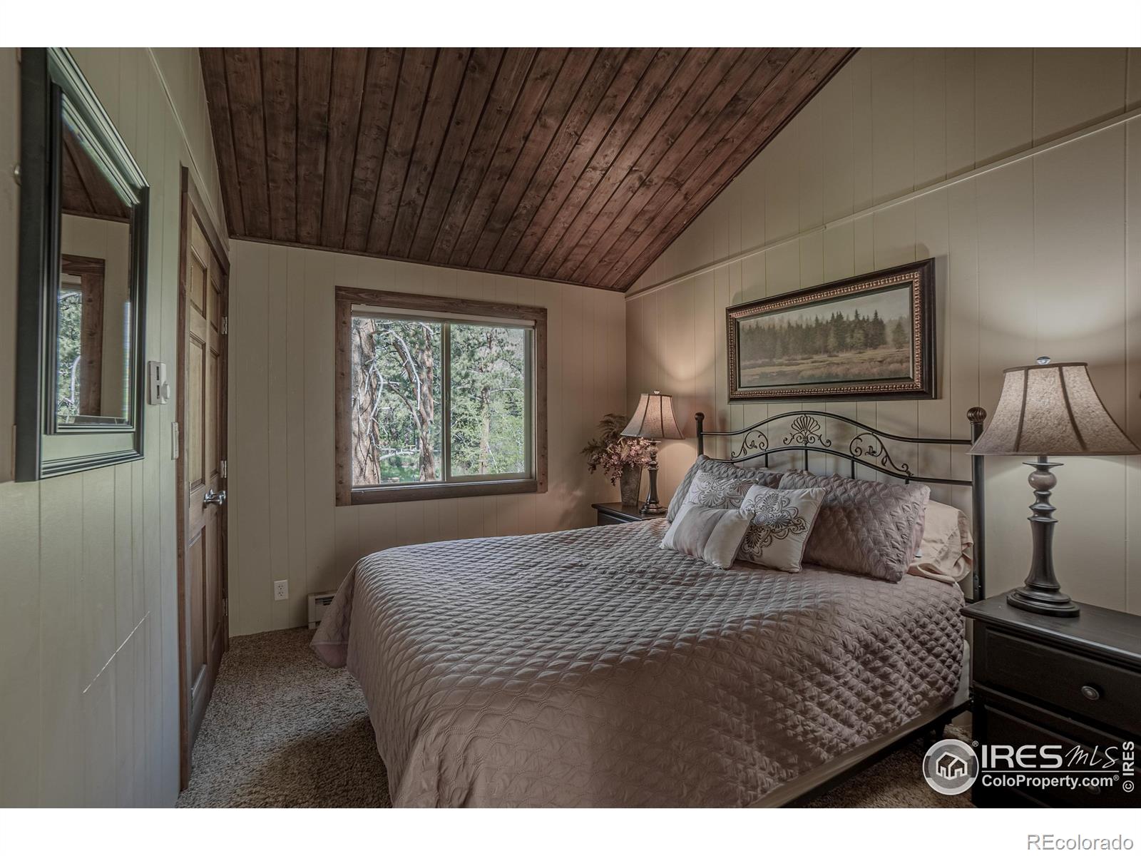 MLS Image #12 for 348  crown point drive,bellvue, Colorado