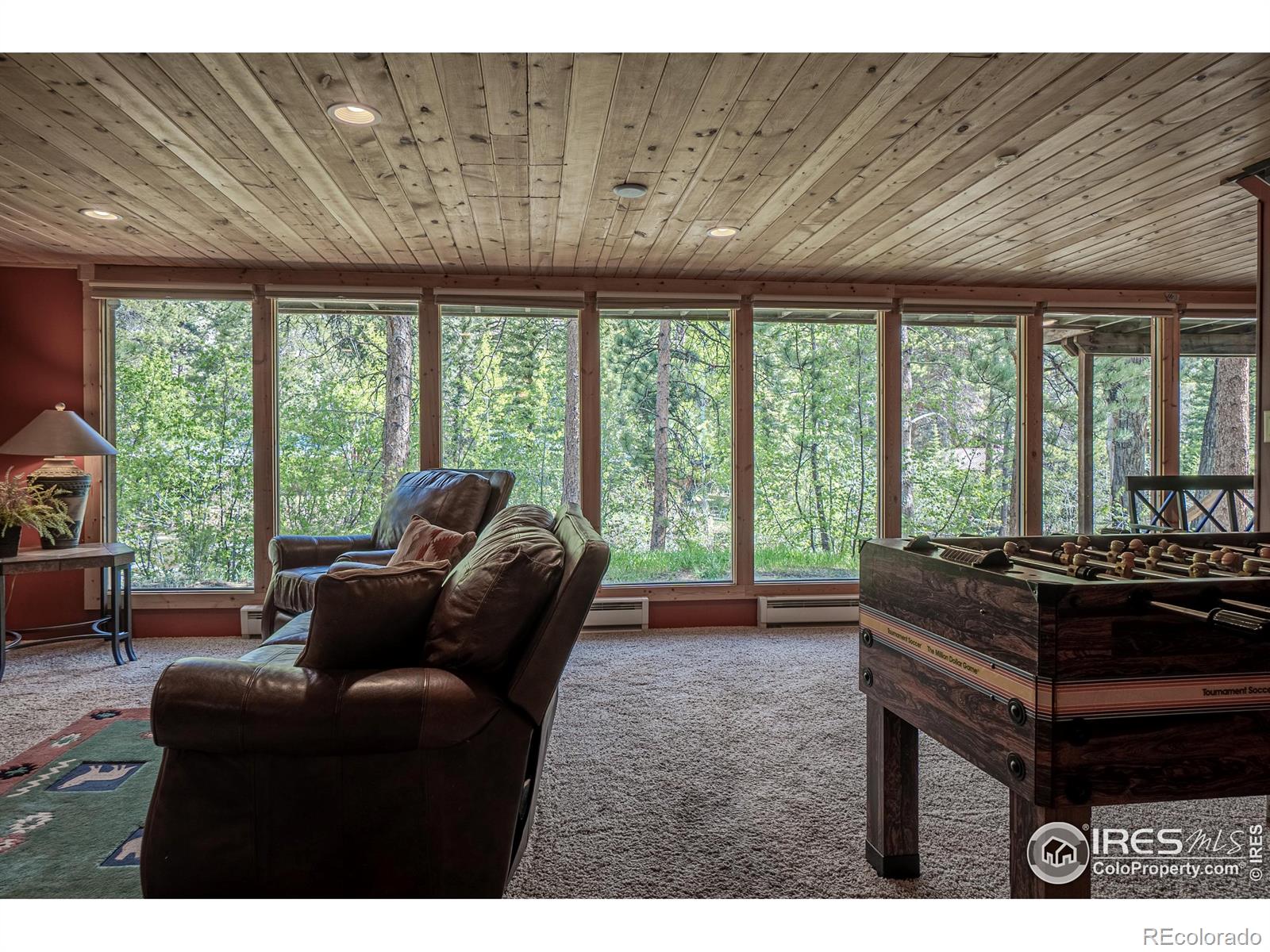 MLS Image #19 for 348  crown point drive,bellvue, Colorado
