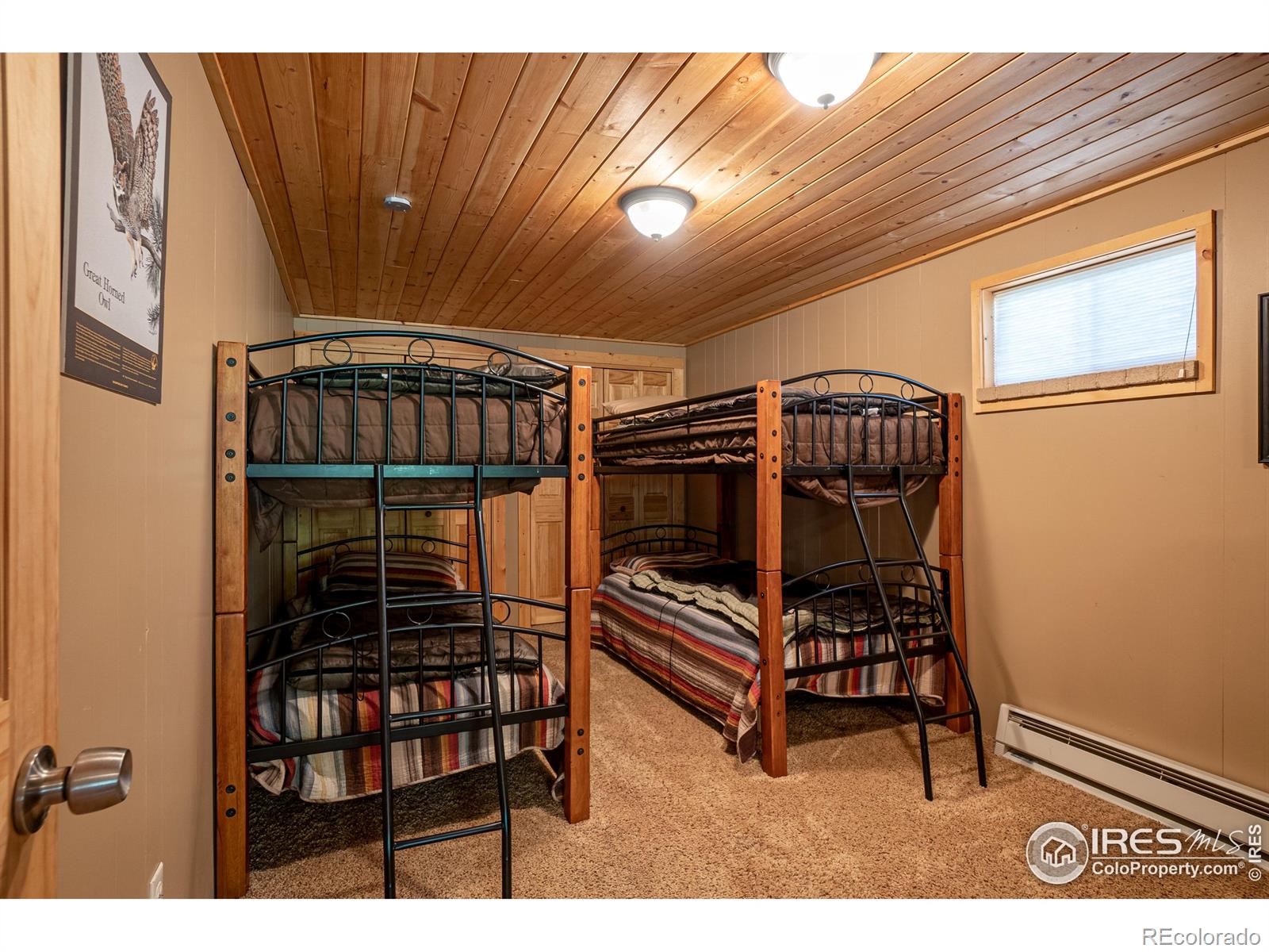 MLS Image #21 for 348  crown point drive,bellvue, Colorado