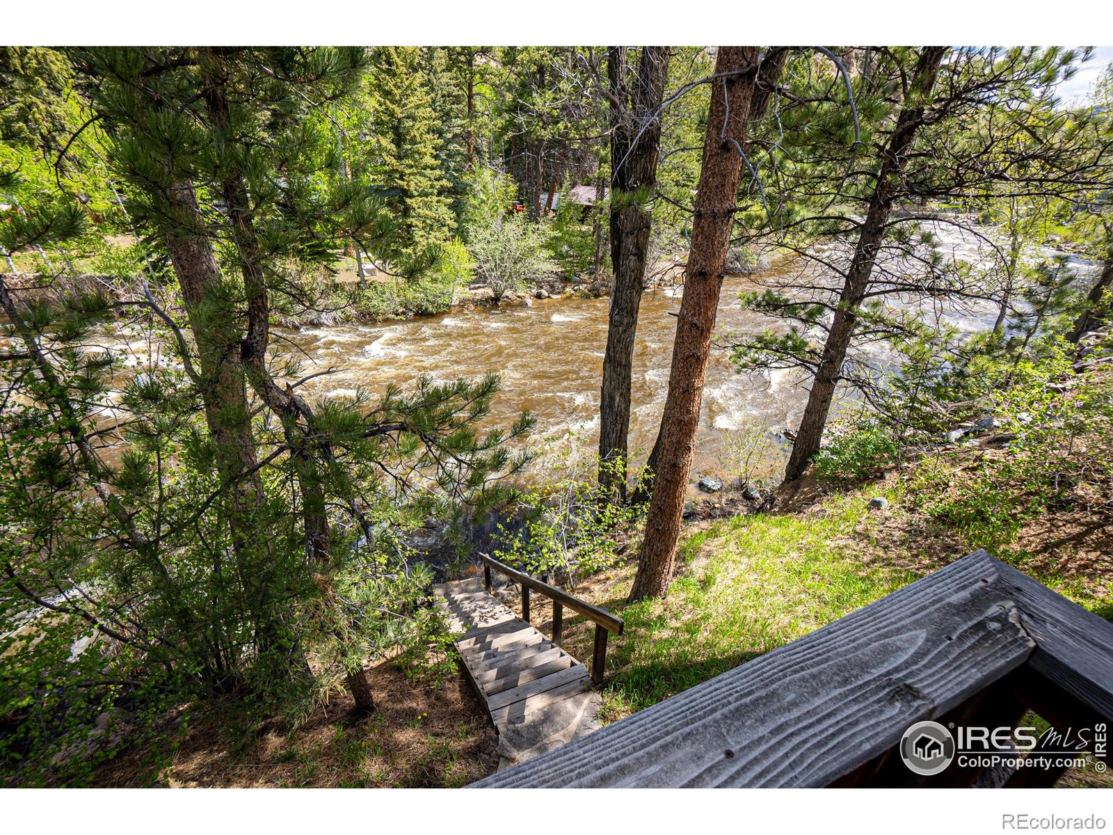 MLS Image #36 for 348  crown point drive,bellvue, Colorado