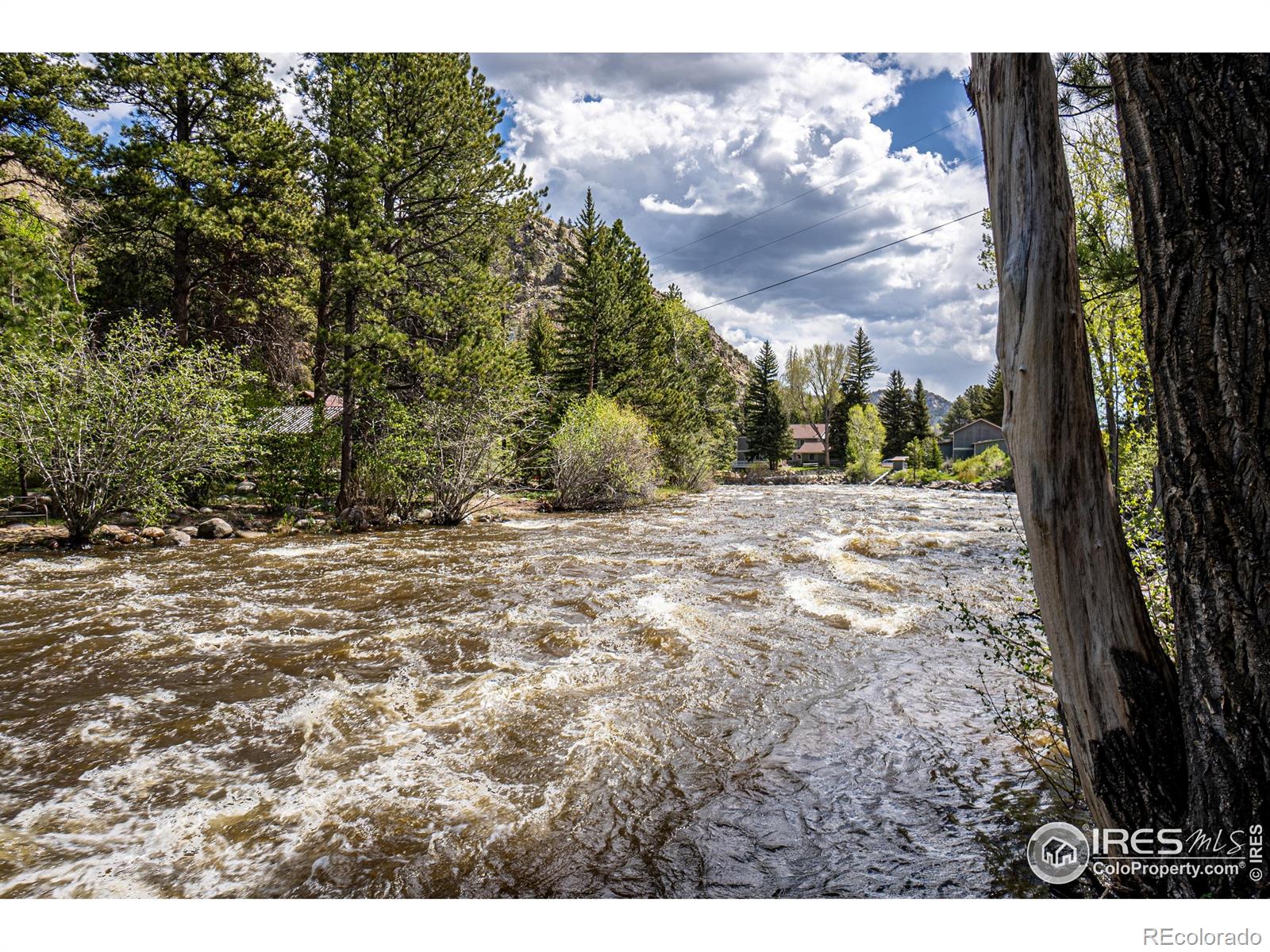 MLS Image #37 for 348  crown point drive,bellvue, Colorado