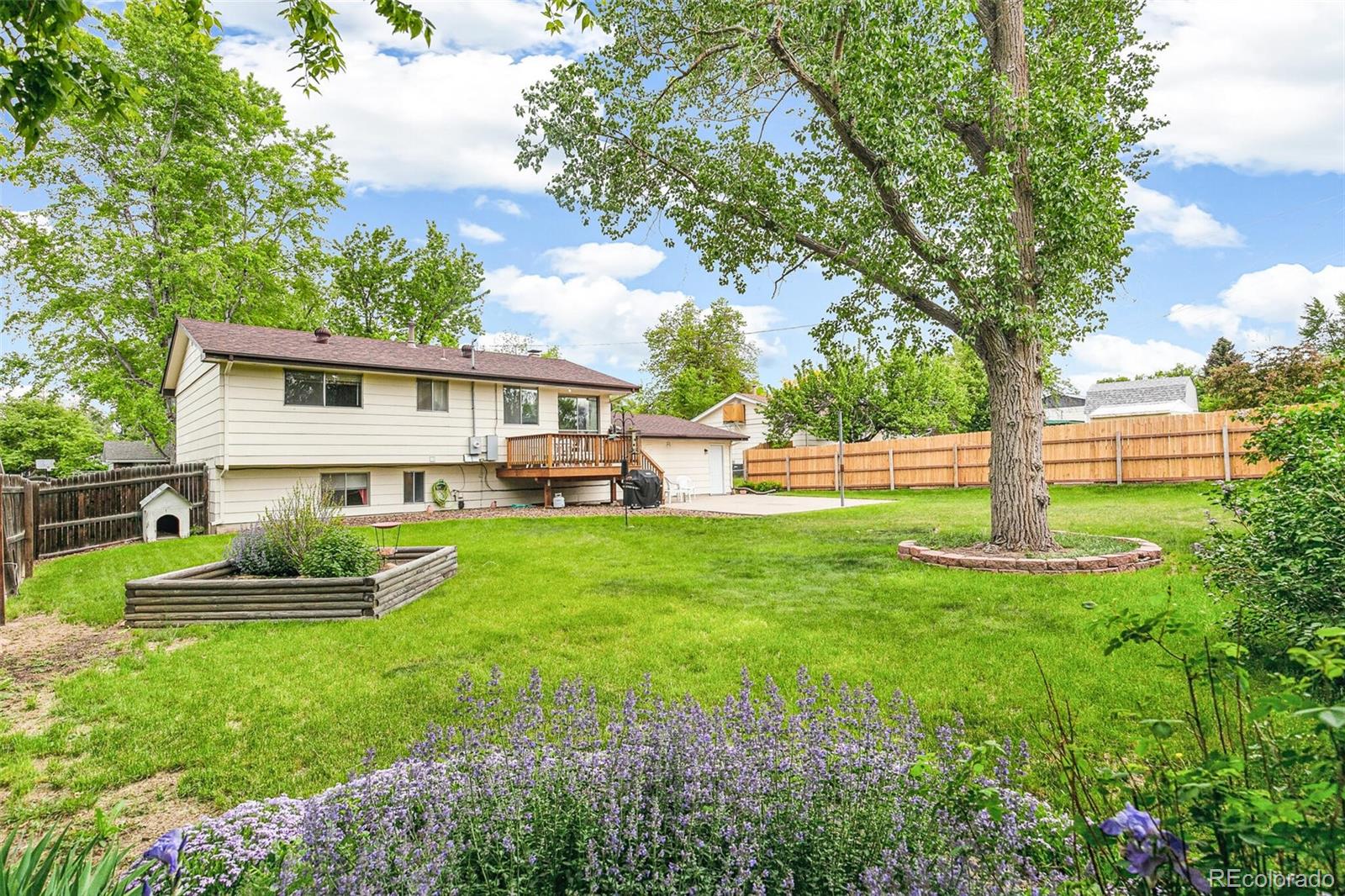 MLS Image #22 for 7503  saulsbury street,arvada, Colorado