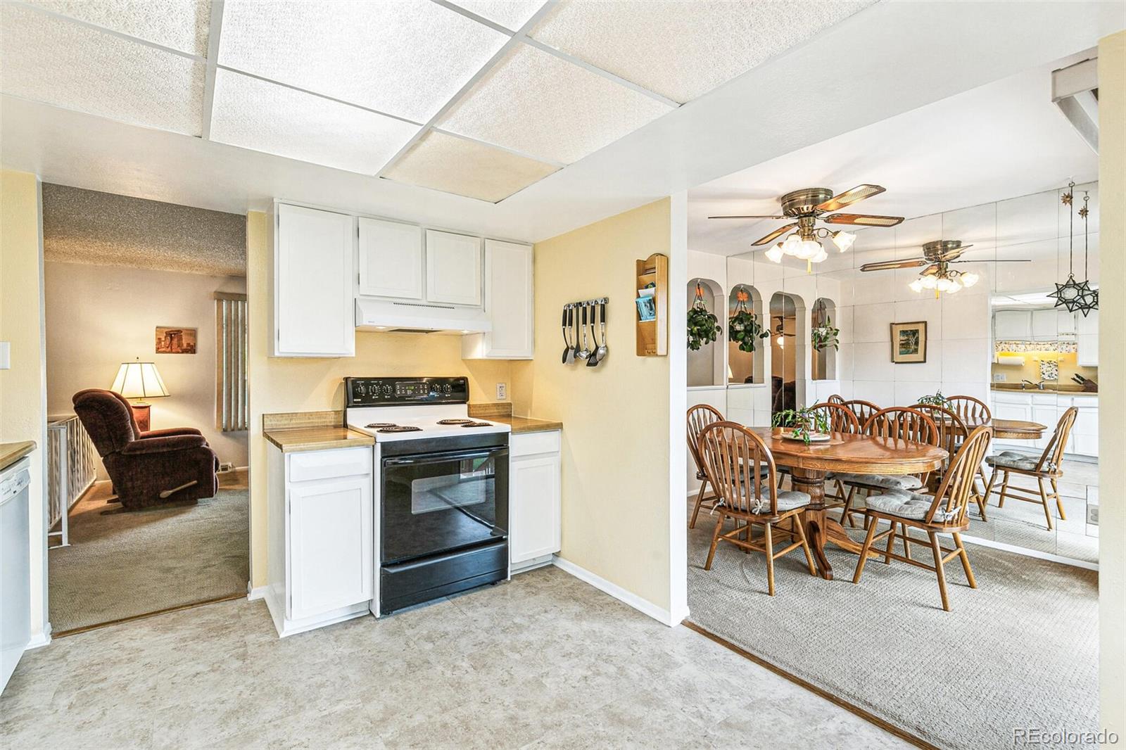 MLS Image #8 for 7503  saulsbury street,arvada, Colorado