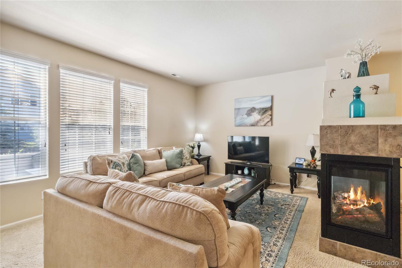 MLS Image #7 for 12766  jasmine street,thornton, Colorado