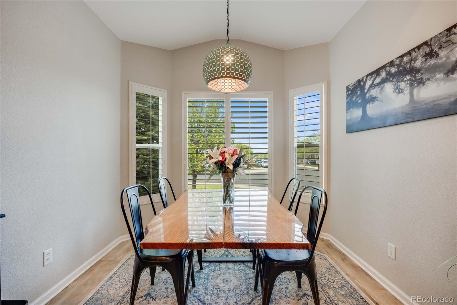 MLS Image #6 for 16839  trail view circle,parker, Colorado
