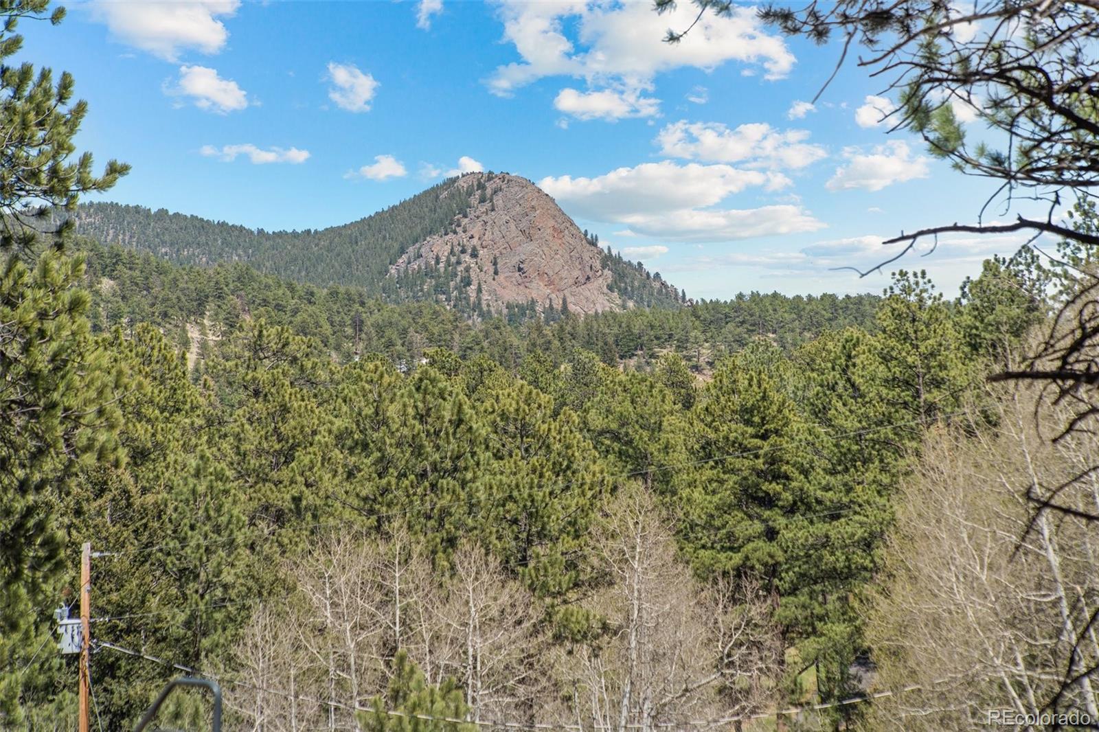 MLS Image #14 for 68  aspen drive,bailey, Colorado