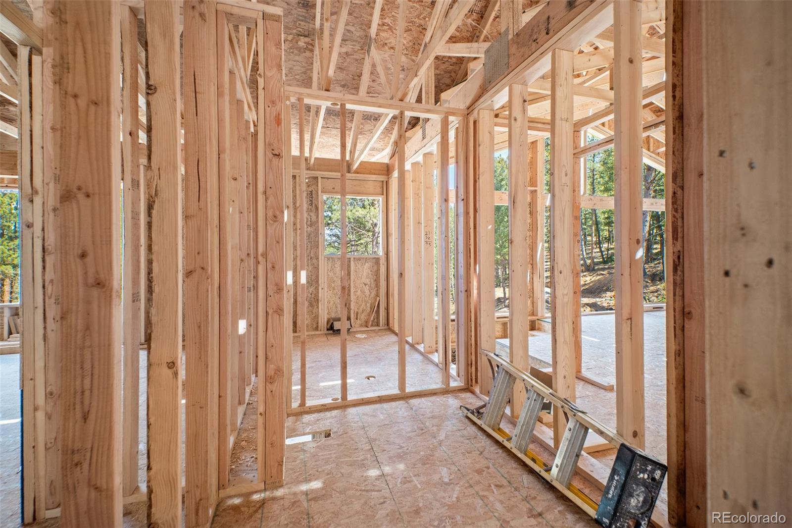 MLS Image #28 for 68  aspen drive,bailey, Colorado