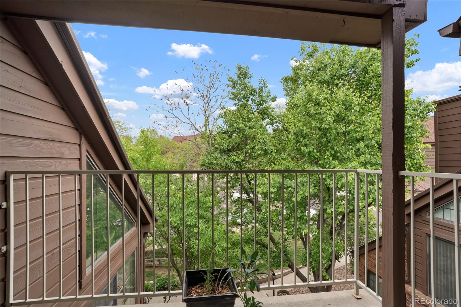 MLS Image #14 for 832 s vance street,lakewood, Colorado