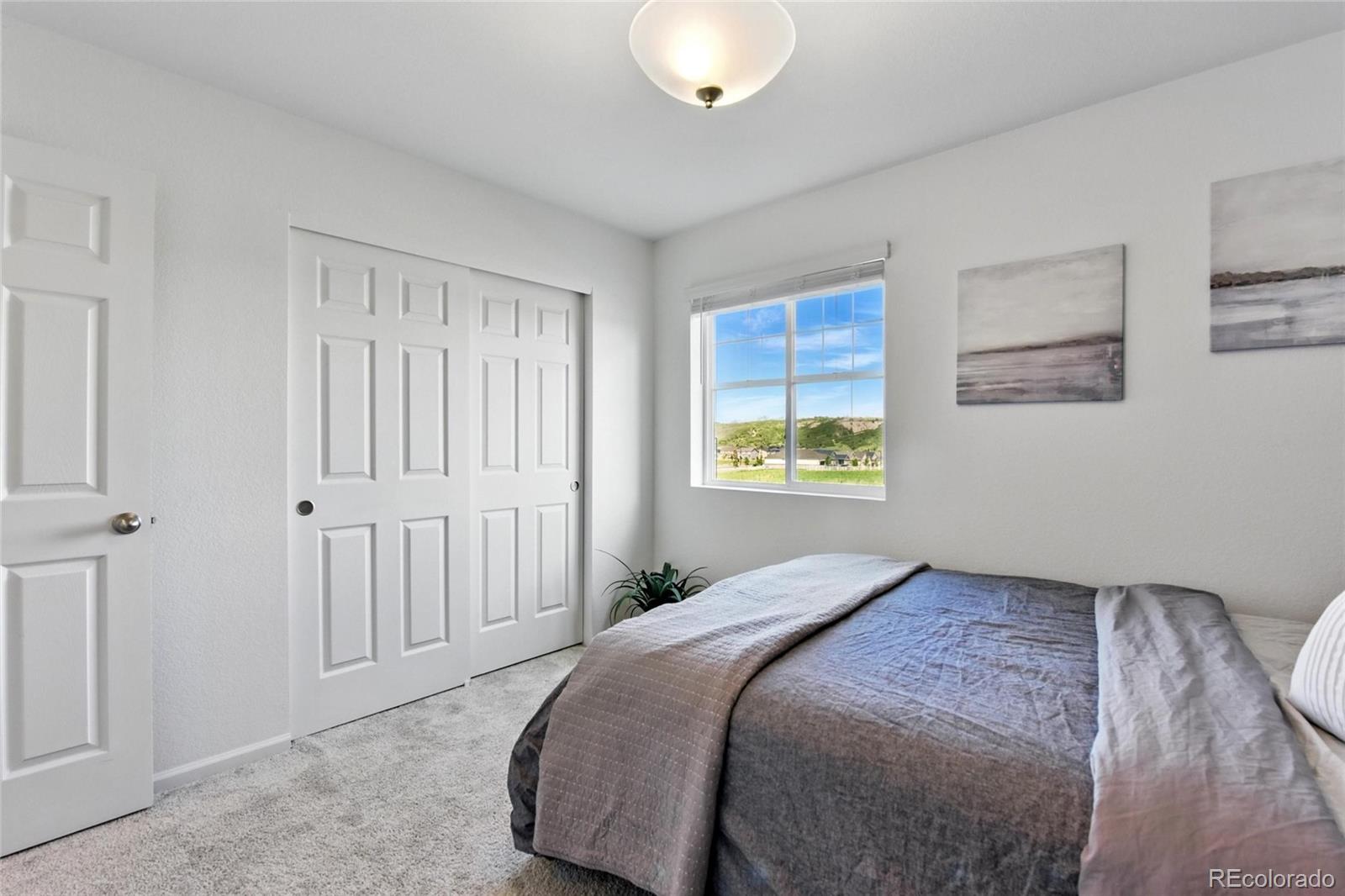 MLS Image #8 for 3699  makley circle,castle rock, Colorado