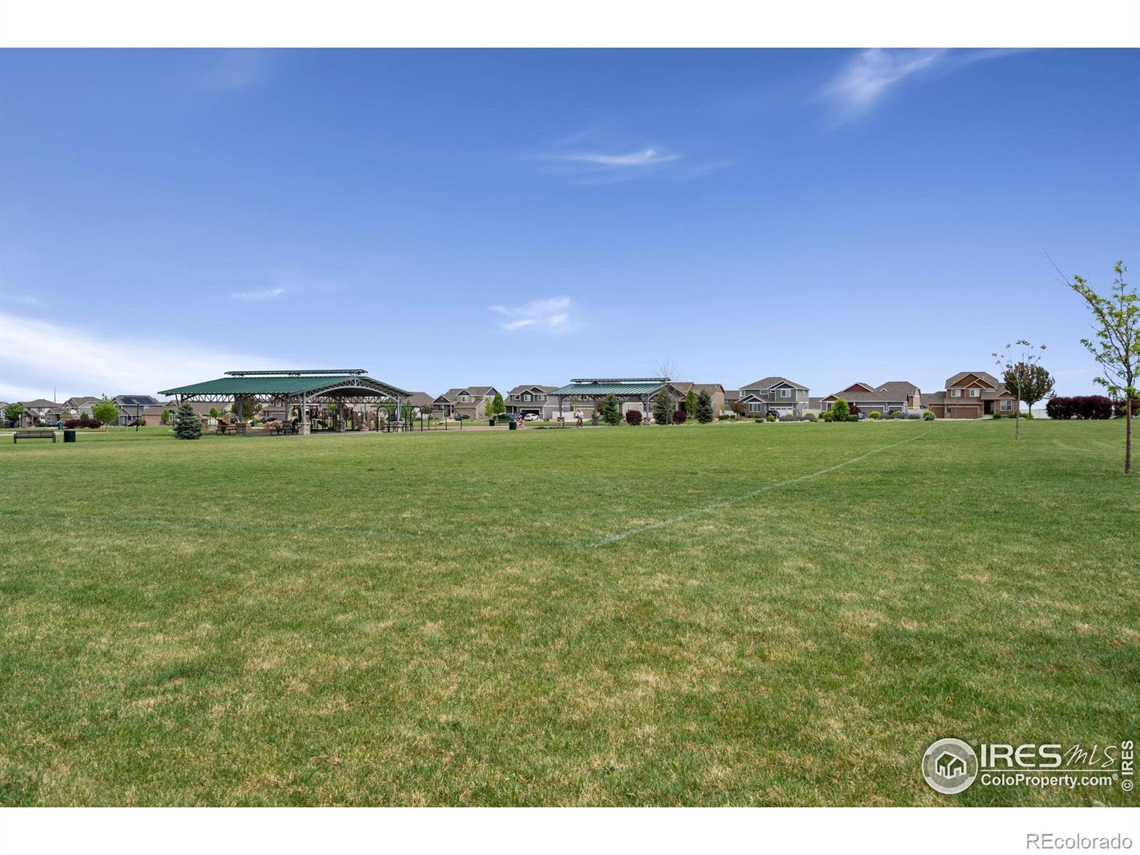 MLS Image #26 for 512  prairie clover way,severance, Colorado