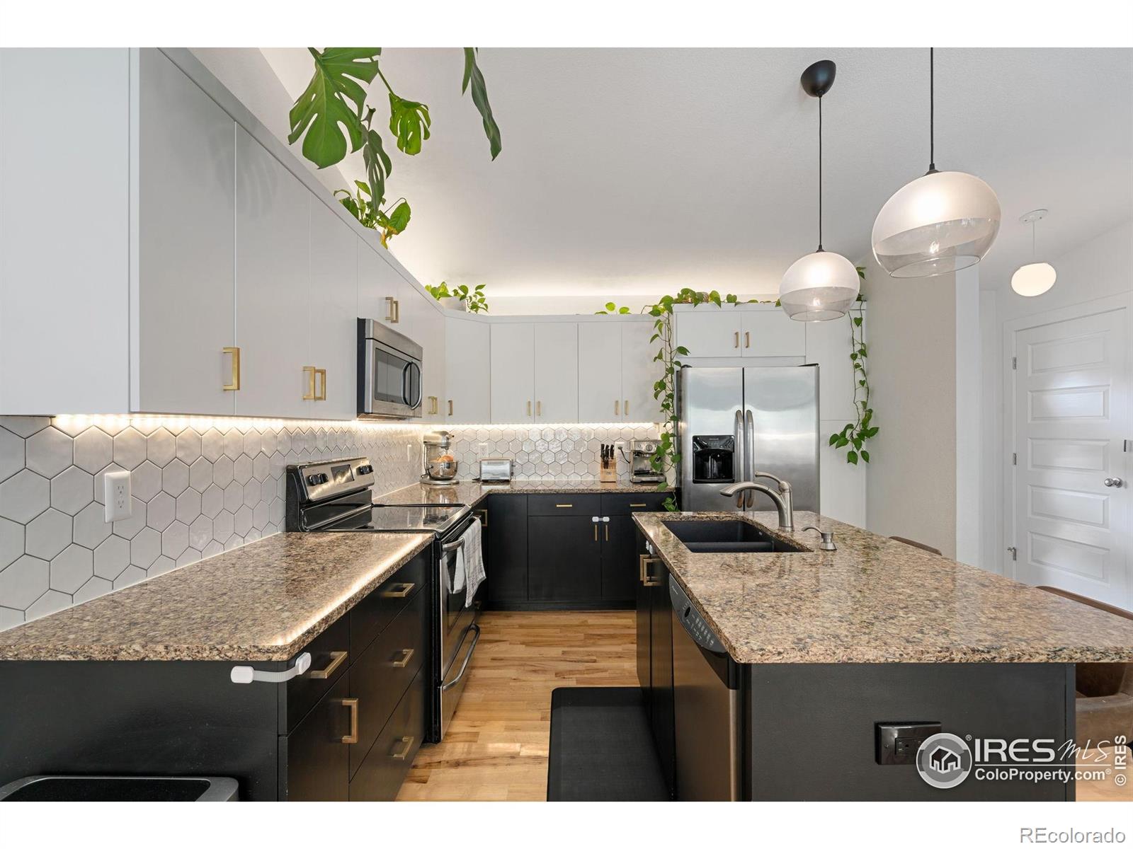 MLS Image #3 for 512  prairie clover way,severance, Colorado