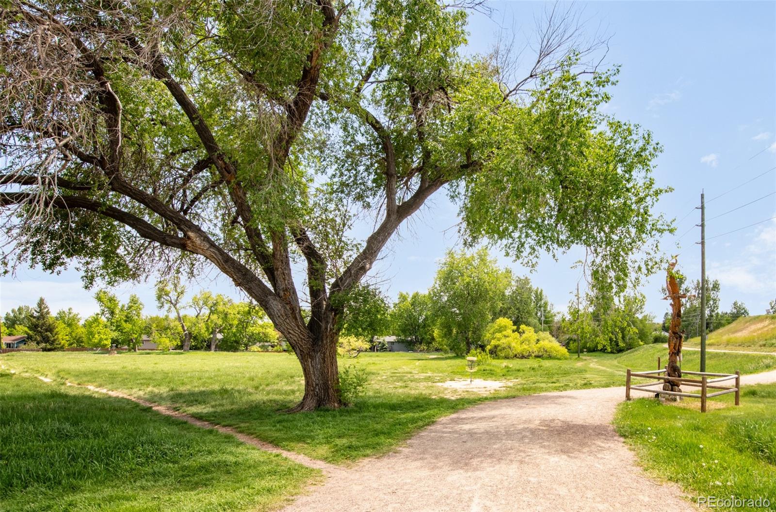 MLS Image #29 for 1140  devonshire court,lafayette, Colorado