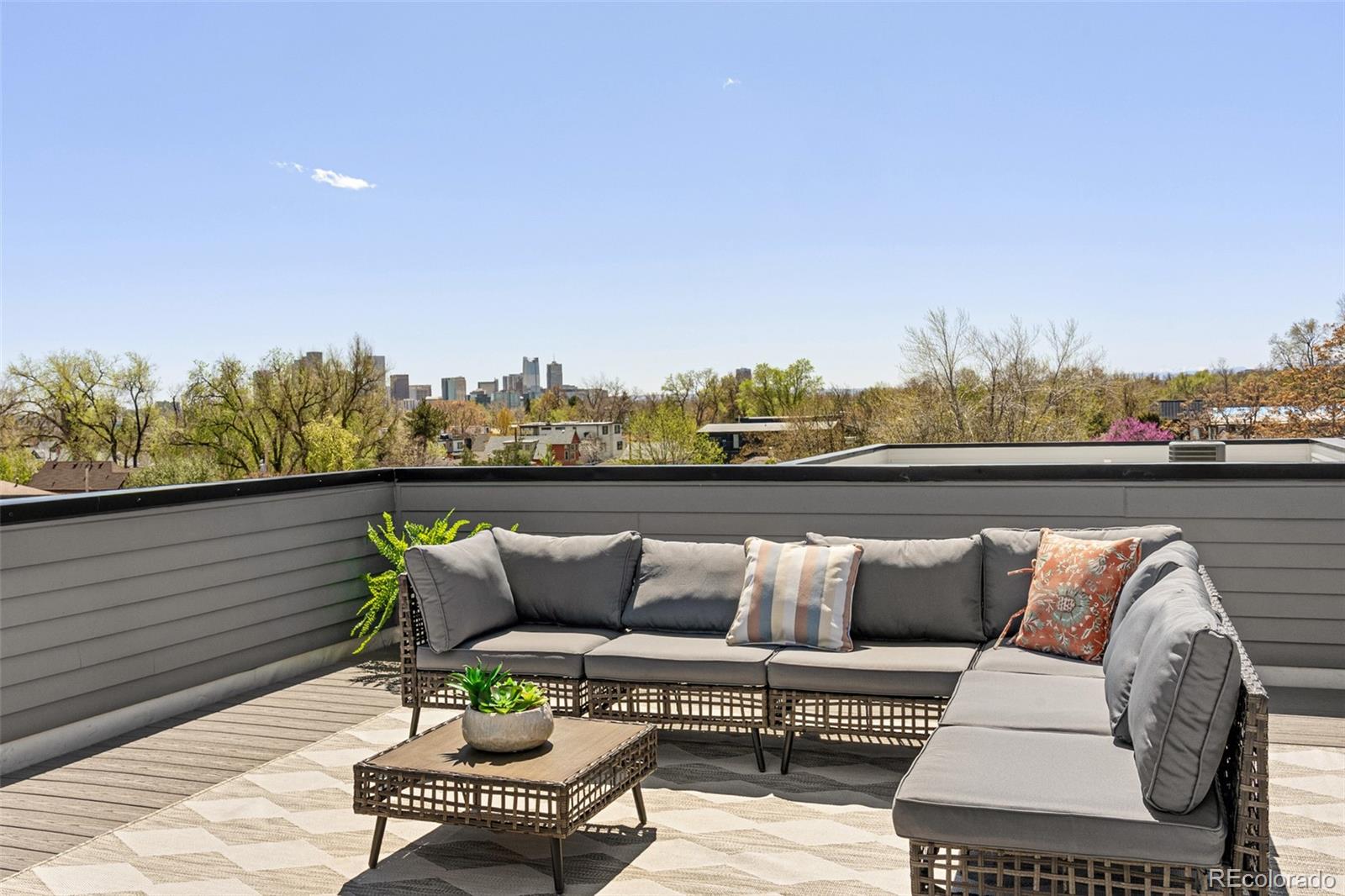 MLS Image #23 for 4395  zuni street,denver, Colorado