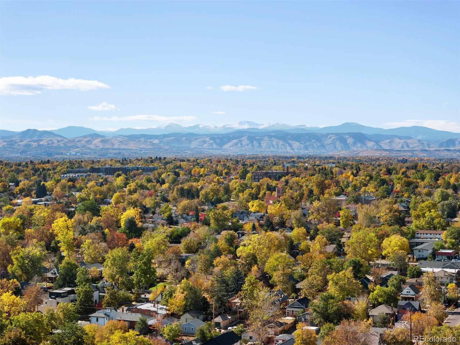 MLS Image #34 for 4395  zuni street,denver, Colorado